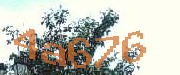 Sorry, this is a captcha