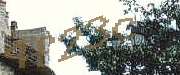 Sorry, this is a captcha