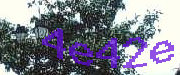 Sorry, this is a captcha