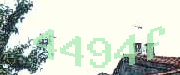 Sorry, this is a captcha