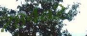 Sorry, this is a captcha