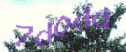 Sorry, this is a captcha