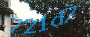 Sorry, this is a captcha