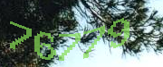 Sorry, this is a captcha