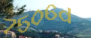 Sorry, this is a captcha