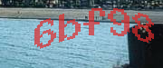 Sorry, this is a captcha