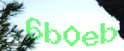 Sorry, this is a captcha
