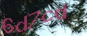 Sorry, this is a captcha
