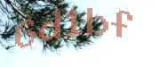 Sorry, this is a captcha