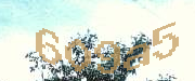 Sorry, this is a captcha