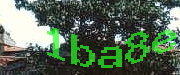 Sorry, this is a captcha