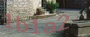 Sorry, this is a captcha