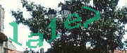 Sorry, this is a captcha