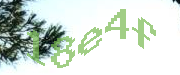 Sorry, this is a captcha