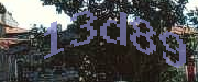 Sorry, this is a captcha