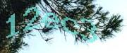 Sorry, this is a captcha