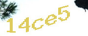 Sorry, this is a captcha