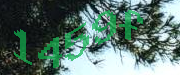 Sorry, this is a captcha