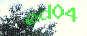 Sorry, this is a captcha