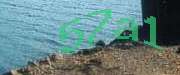 Sorry, this is a captcha
