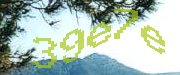 Sorry, this is a captcha