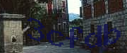 Sorry, this is a captcha
