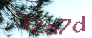 Sorry, this is a captcha