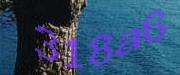 Sorry, this is a captcha