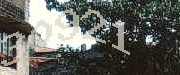 Sorry, this is a captcha