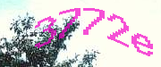 Sorry, this is a captcha