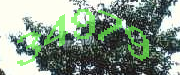 Sorry, this is a captcha