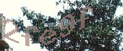 Sorry, this is a captcha