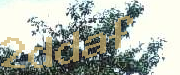Sorry, this is a captcha