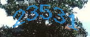 Sorry, this is a captcha