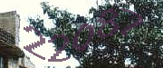 Sorry, this is a captcha