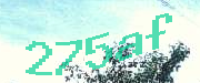 Sorry, this is a captcha