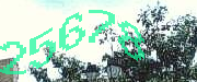 Sorry, this is a captcha
