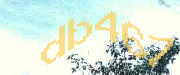 Sorry, this is a captcha