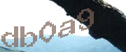 Sorry, this is a captcha