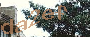 Sorry, this is a captcha
