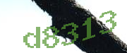 Sorry, this is a captcha