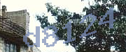 Sorry, this is a captcha