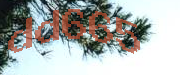 Sorry, this is a captcha