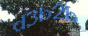 Sorry, this is a captcha