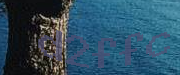 Sorry, this is a captcha
