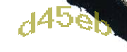 Sorry, this is a captcha