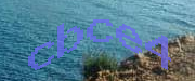 Sorry, this is a captcha