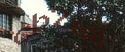 Sorry, this is a captcha
