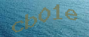 Sorry, this is a captcha