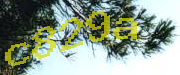 Sorry, this is a captcha